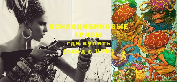 PSILOCYBIN Армянск