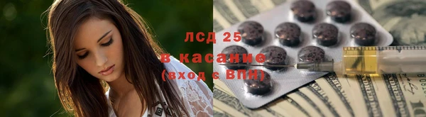 PSILOCYBIN Армянск