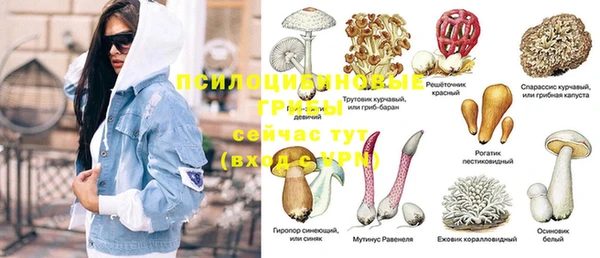 PSILOCYBIN Армянск