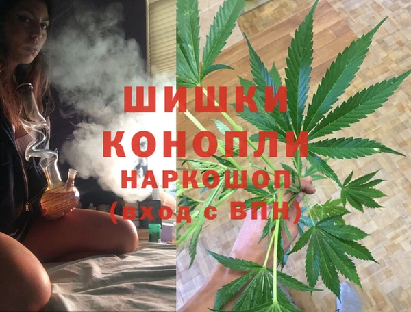 PSILOCYBIN Армянск