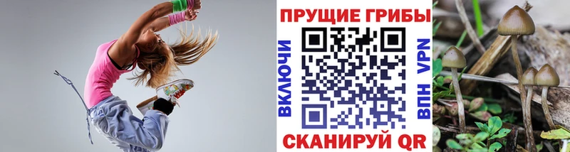 Псилоцибиновые грибы MAGIC MUSHROOMS  закладка  мориарти клад  Павловск 